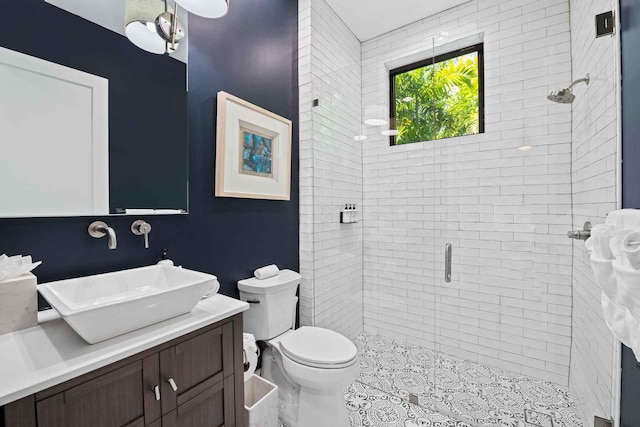 bathroom featuring vanity, a shower stall, and toilet