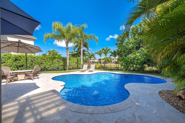 8533 Briar Rose Pt, Boynton Beach, FL 33473 - view of pool featuring a patio area and a fenced backyard