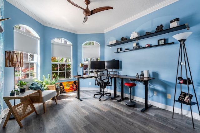 8533 Briar Rose Pt, Boynton Beach, FL 33473 - home office with wood finished floors, ceiling fan, ornamental molding, and baseboards