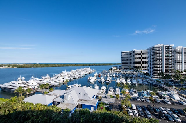 bird's eye view with a water view