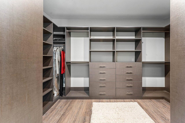 7383 Orangewood Ln Unit 304, Boca Raton, FL 33433 - spacious closet with wood finished floors