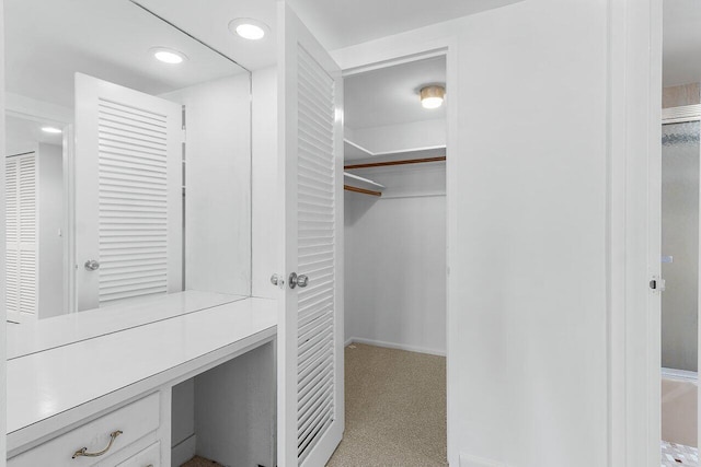 1225 S Ocean Blvd Unit 302, Delray Beach, FL 33483 - spacious closet with light carpet