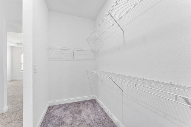 2132 SW Vista Rd, Port Saint Lucie, FL 34953 - spacious closet with carpet flooring