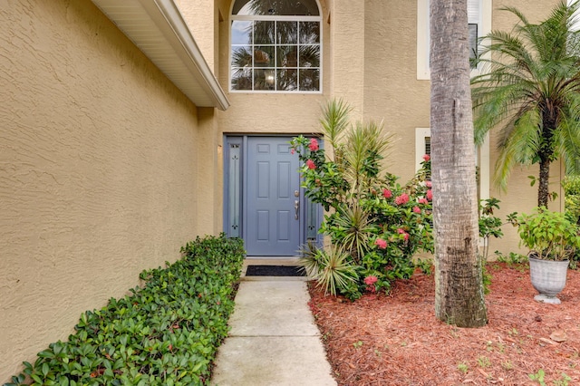 doorway to property featuring stucco siding