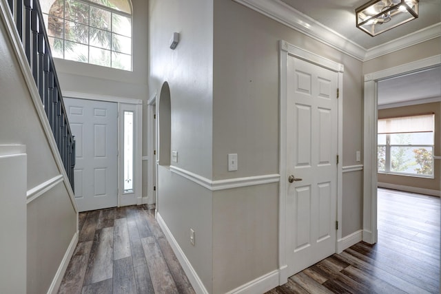 foyer with baseboards, wood finished floors, an inviting chandelier, and ornamental molding