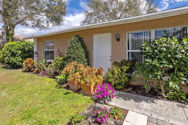 view of exterior entry featuring stucco siding and a yard
