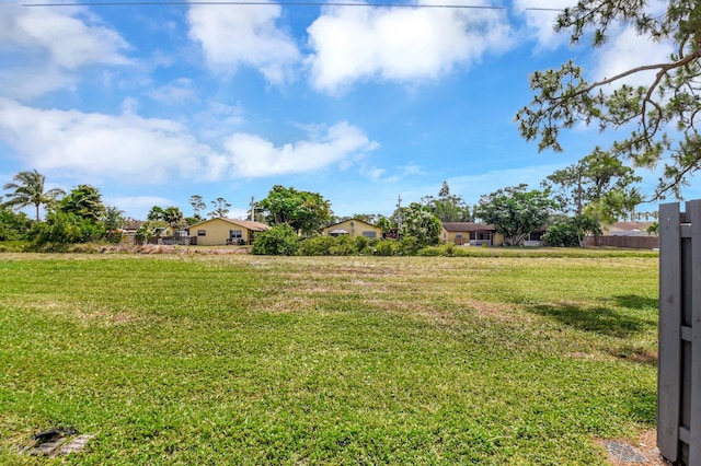 view of yard