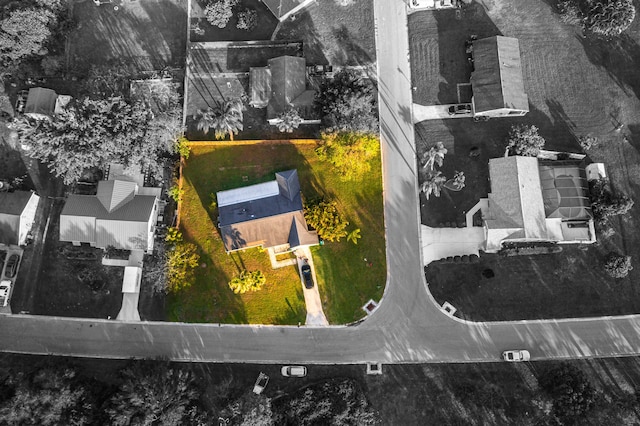 drone / aerial view
