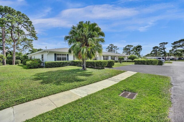 single story home featuring stucco siding and a front lawn