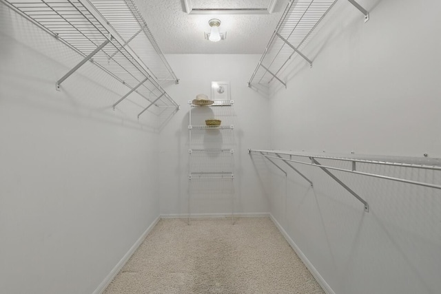 1054 NW Tuscany Dr, Port Saint Lucie, FL 34986 - walk in closet with light colored carpet