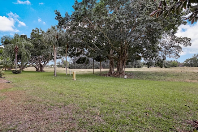 4801 Esedra Ct Unit 104, Lake Worth, FL 33467 - view of yard