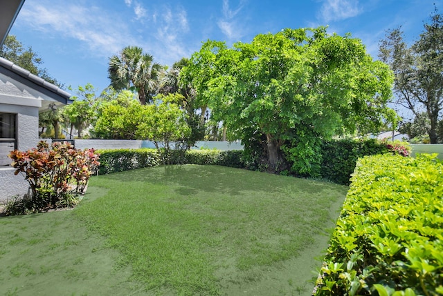 14 Windsor Ln, Boynton Beach, FL 33436 - view of yard