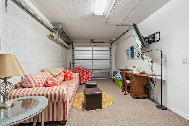 garage with baseboards