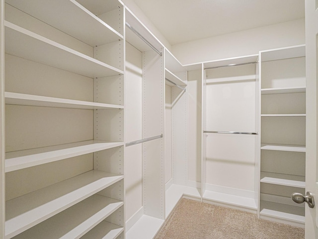 spacious closet with carpet floors
