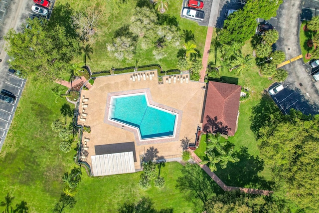 bird's eye view
