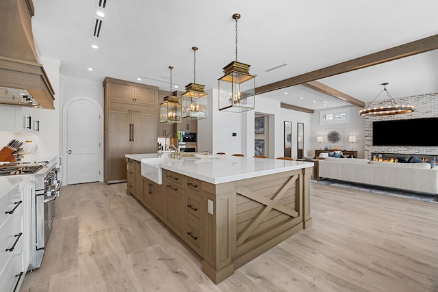 kitchen with a sink, custom exhaust hood, light wood-style flooring, light countertops, and double oven range