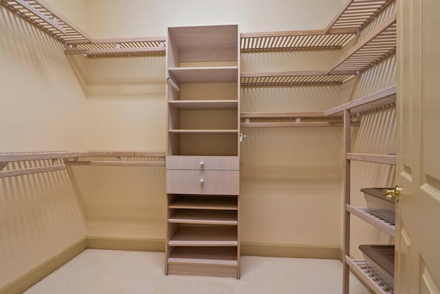 spacious closet with carpet flooring
