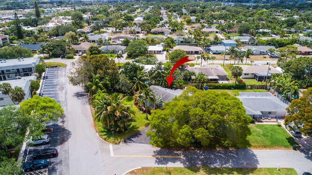 bird's eye view