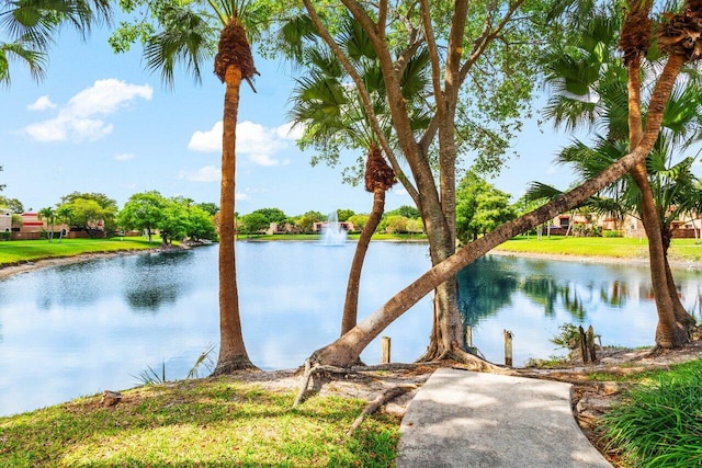 water view