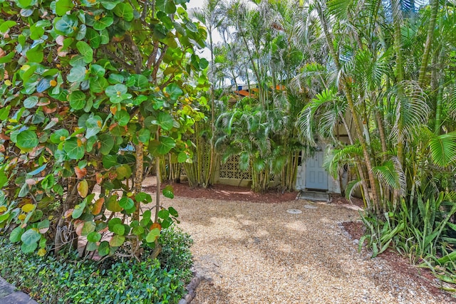 126 Peruvian Ave, Palm Beach, FL 33480 - view of yard