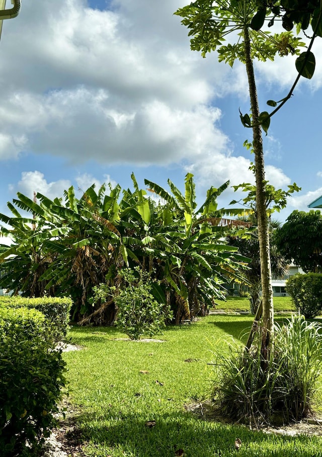 82 Camden Unit D, West Palm Beach, FL 33417 - view of green lawn