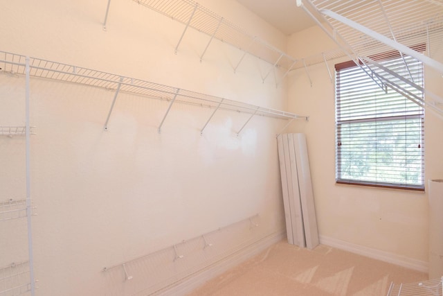 4891 Bonsai Cir Unit 105, Palm Beach Gardens, FL 33418 - spacious closet featuring carpet