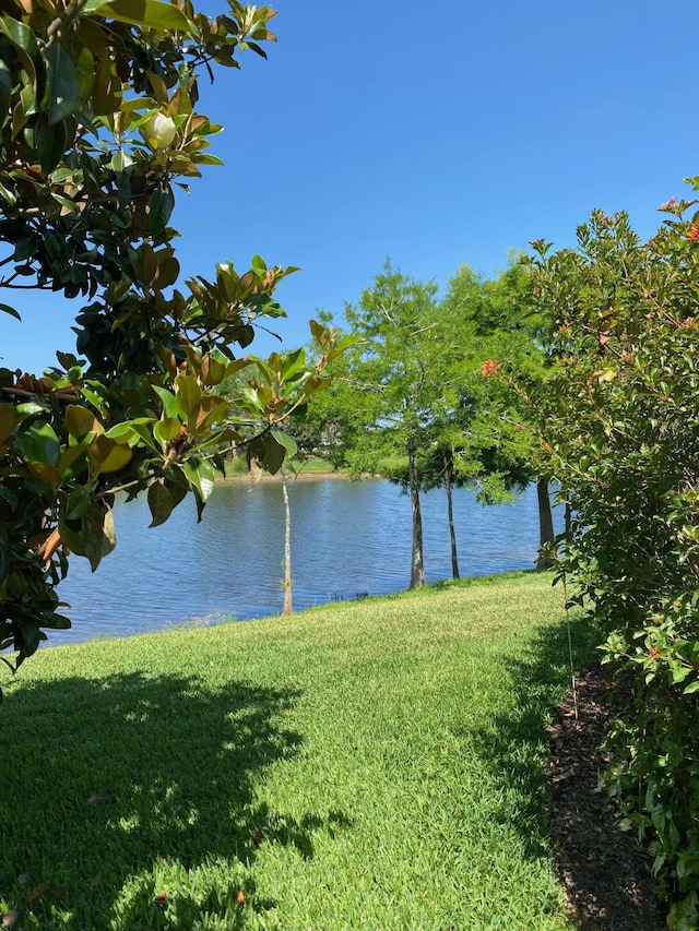 3531 Plume Way SE, Palm Bay, FL 32909 - property view of water