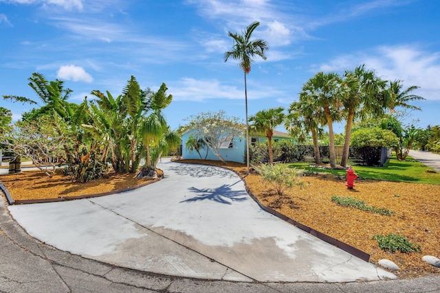 387 Yvonne Dr, West Palm Beach, FL 33406 - view of obstructed view of property