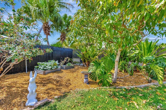 387 Yvonne Dr, West Palm Beach, FL 33406 - view of yard featuring a vegetable garden and fence