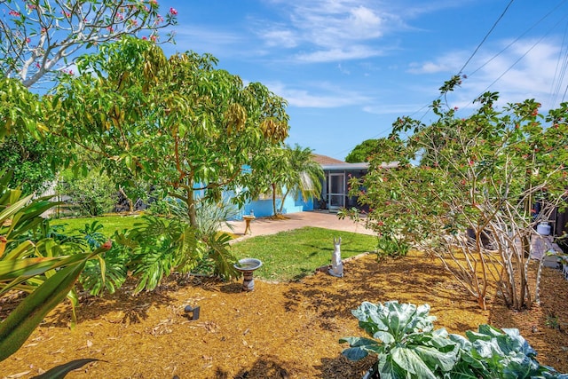 387 Yvonne Dr, West Palm Beach, FL 33406 - view of yard with a garden and fence