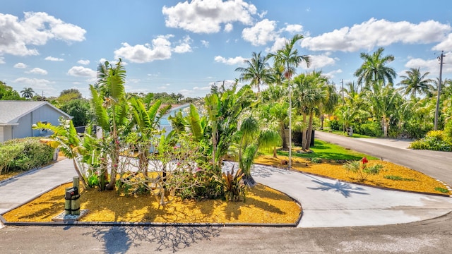 387 Yvonne Dr, West Palm Beach, FL 33406 - view of yard