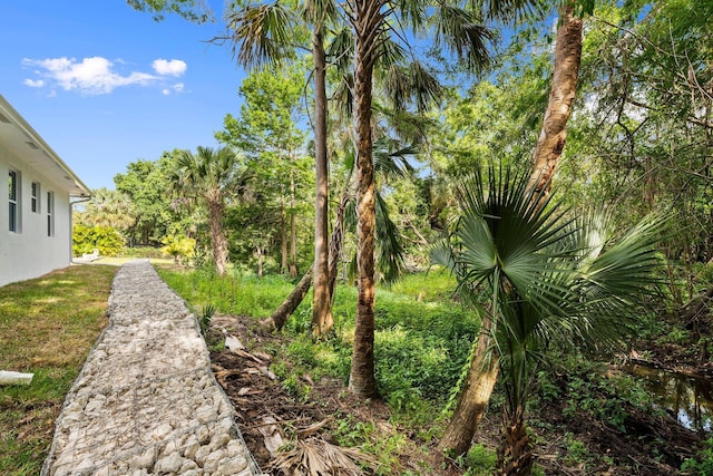 899 Gladiola Ave, Sebastian, FL 32958 - view of yard