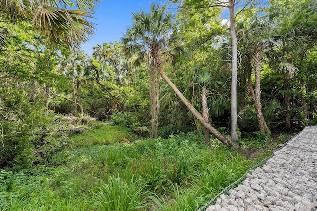 899 Gladiola Ave, Sebastian, FL 32958 - view of yard