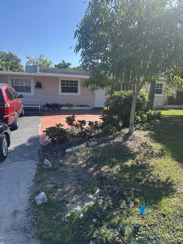 single story home with a front lawn and stucco siding