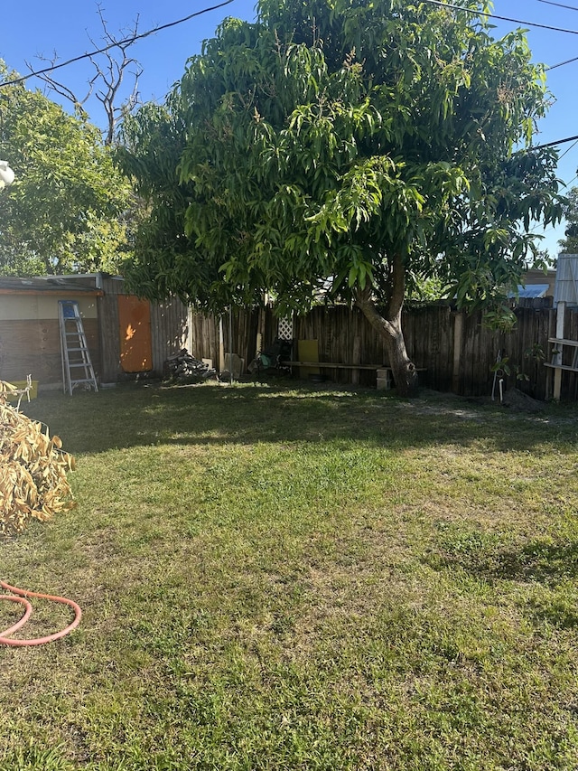 view of yard featuring a fenced backyard