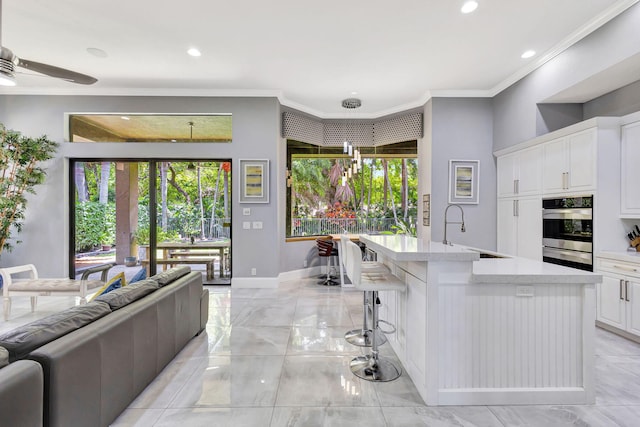 kitchen featuring ornamental molding, a wealth of natural light, light countertops, and a sink