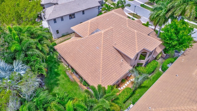 aerial view