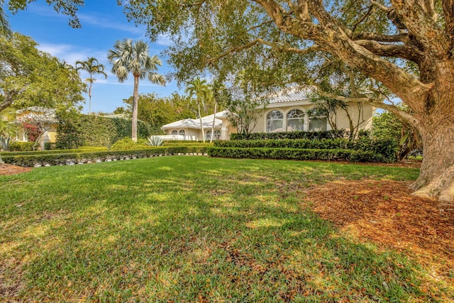 2465 Chesapeake Cir, West Palm Beach, FL 33409 - view of yard