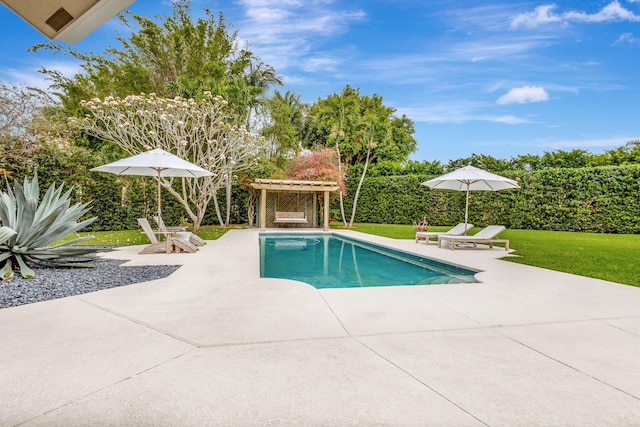 2465 Chesapeake Cir, West Palm Beach, FL 33409 - pool featuring a patio and a yard