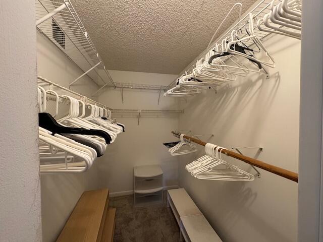 spacious closet featuring carpet floors