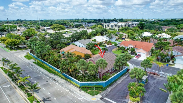 bird's eye view