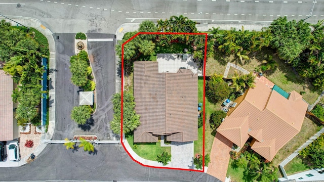 aerial view
