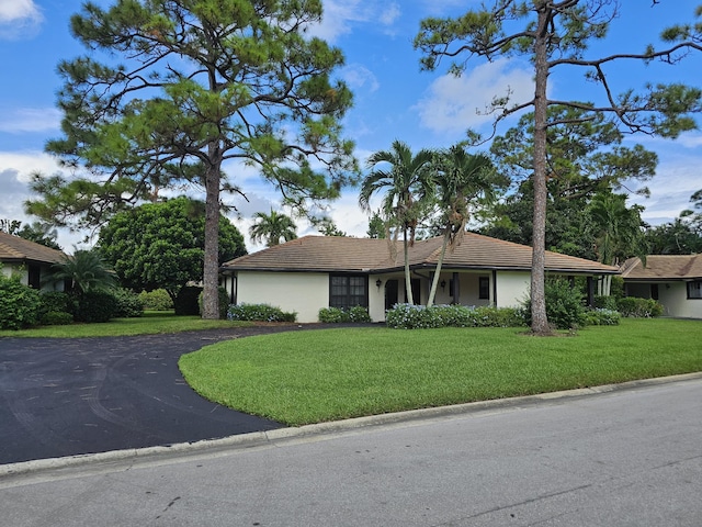 single story home with a tile roof, a front yard, stucco siding, and curved driveway