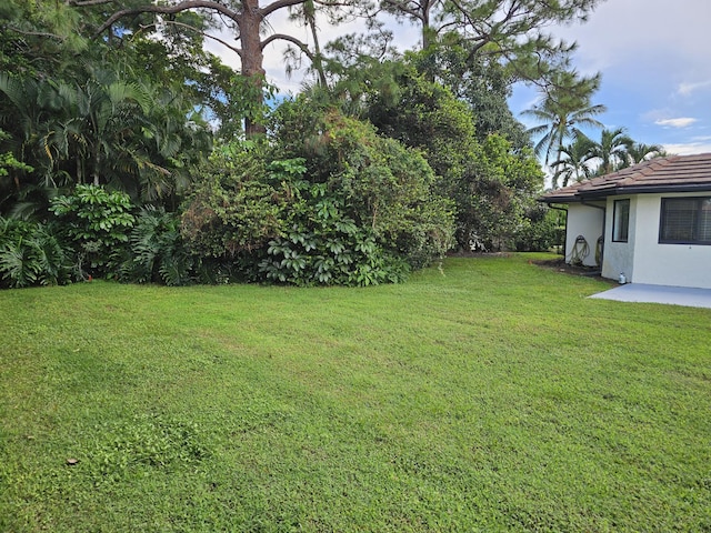 view of yard