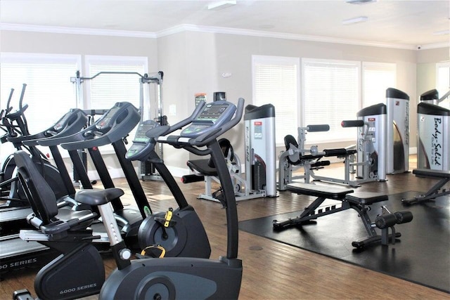 exercise room featuring wood finished floors and ornamental molding