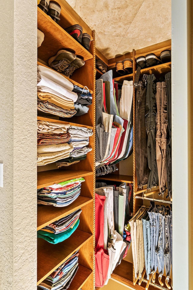 view of spacious closet