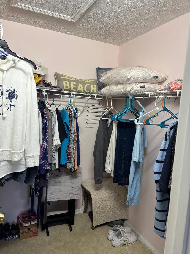 4059 Gator Trace Rd, Fort Pierce, FL 34982 - walk in closet with carpet flooring
