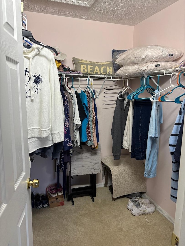 4059 Gator Trace Rd, Fort Pierce, FL 34982 - spacious closet with carpet floors