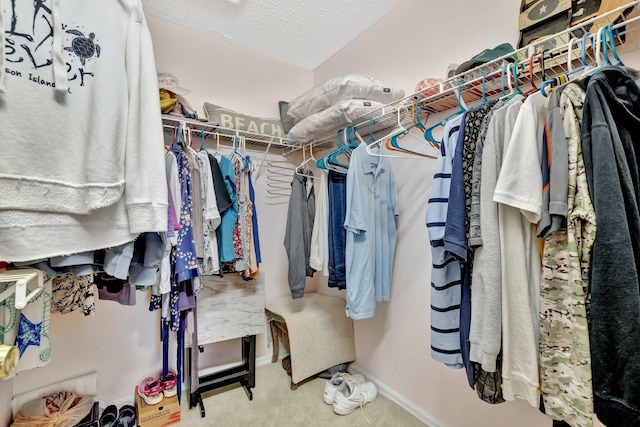 4059 Gator Trace Rd, Fort Pierce, FL 34982 - view of spacious closet