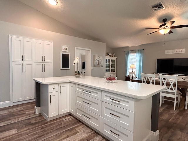 6446 Terra Rosa Cir, Boynton Beach, FL 33472 - kitchen featuring ceiling fan, dark wood finished floors, white cabinets, vaulted ceiling, and a textured ceiling